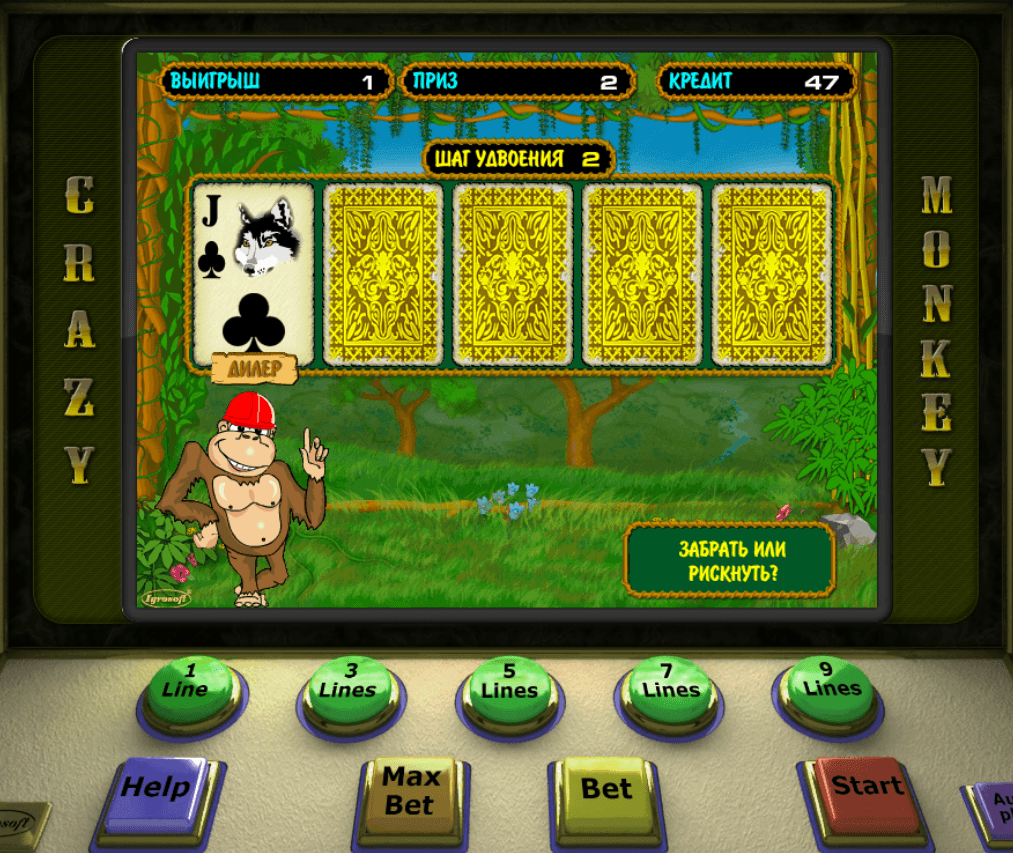 Игровые автоматы обезьянка онлайн бесплатно my bets betfair